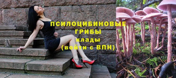 хмурый Медногорск